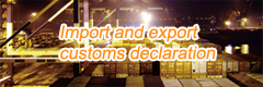 Import and export declarations